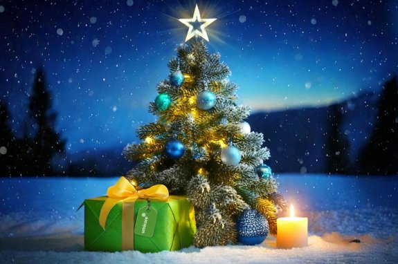 Seasons Greetings – Rückblick 2024 und Information  Betriebsruhe - Danke